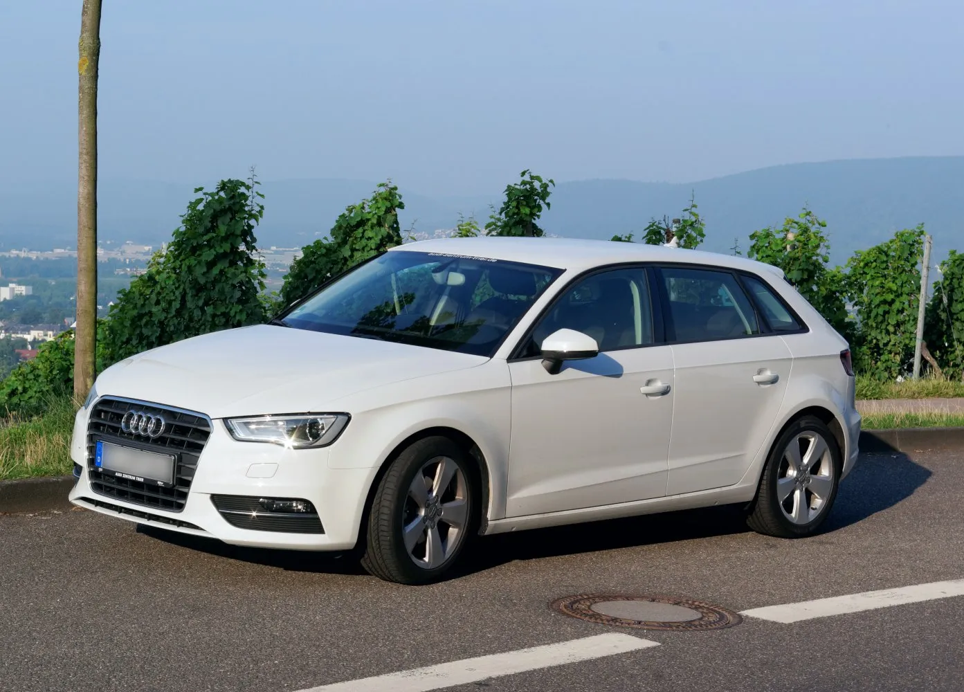 Image for Audi A3 Sportback (8V)
