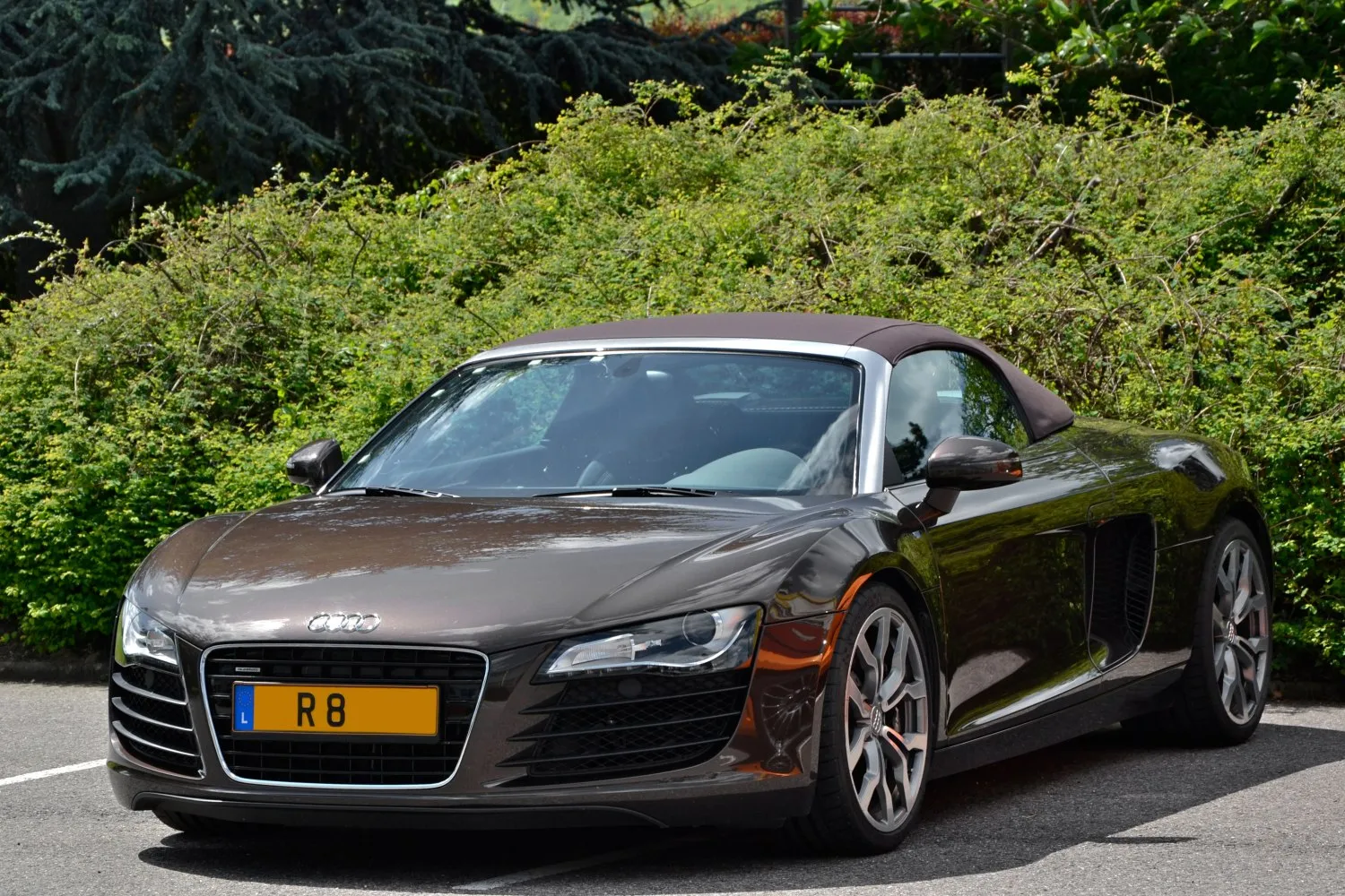 Image for Audi R8 Spyder (42)