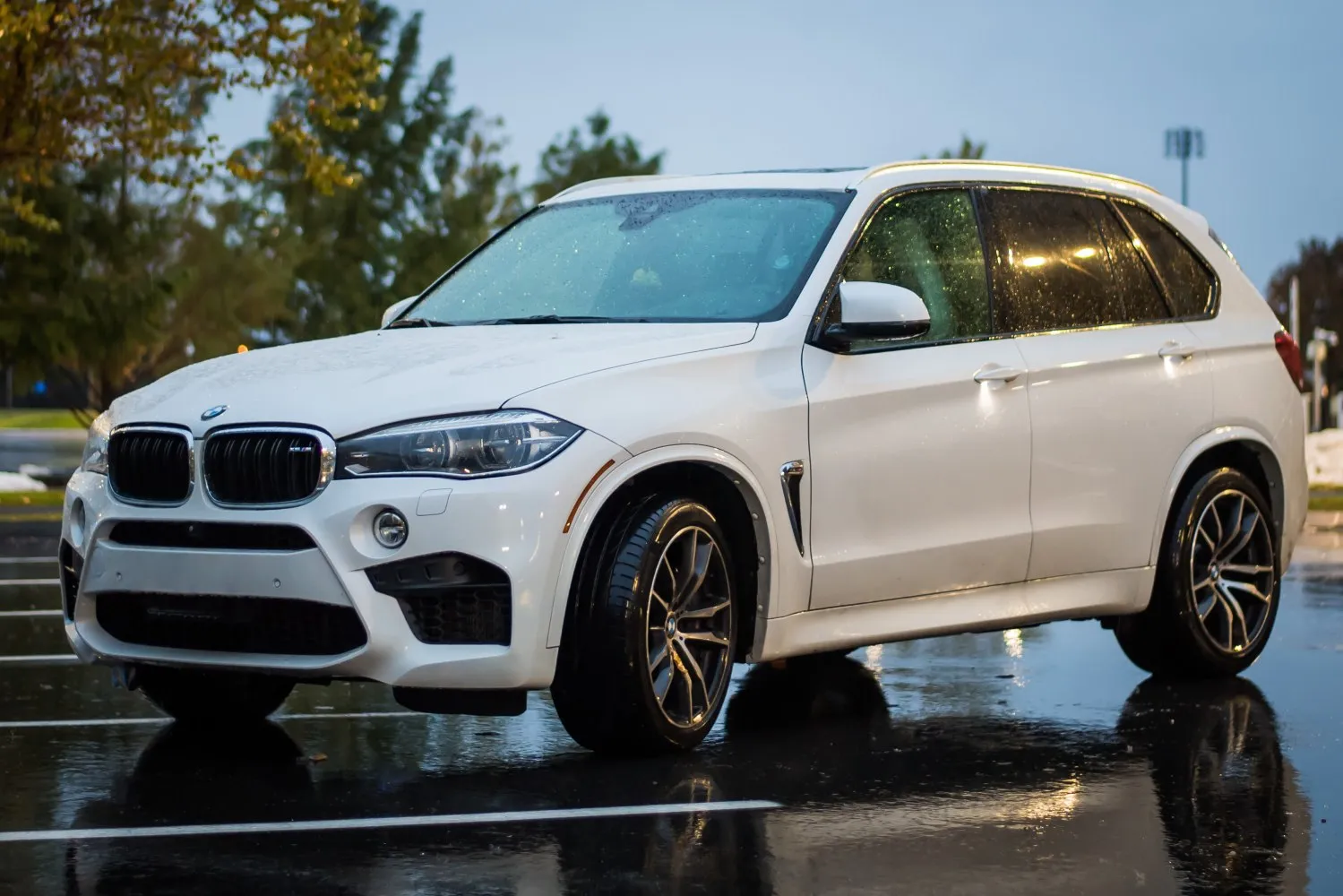 Image for BMW X5 M F85