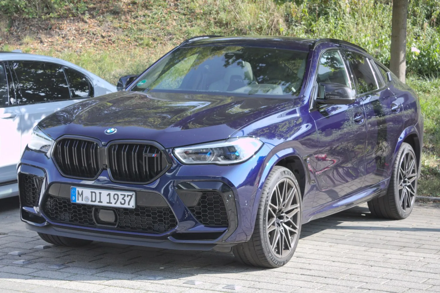 BMW X6 M F96