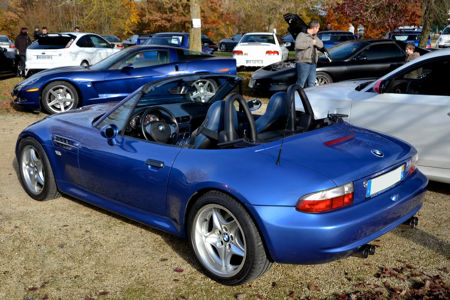 Image for BMW Z3 M (E36/7)