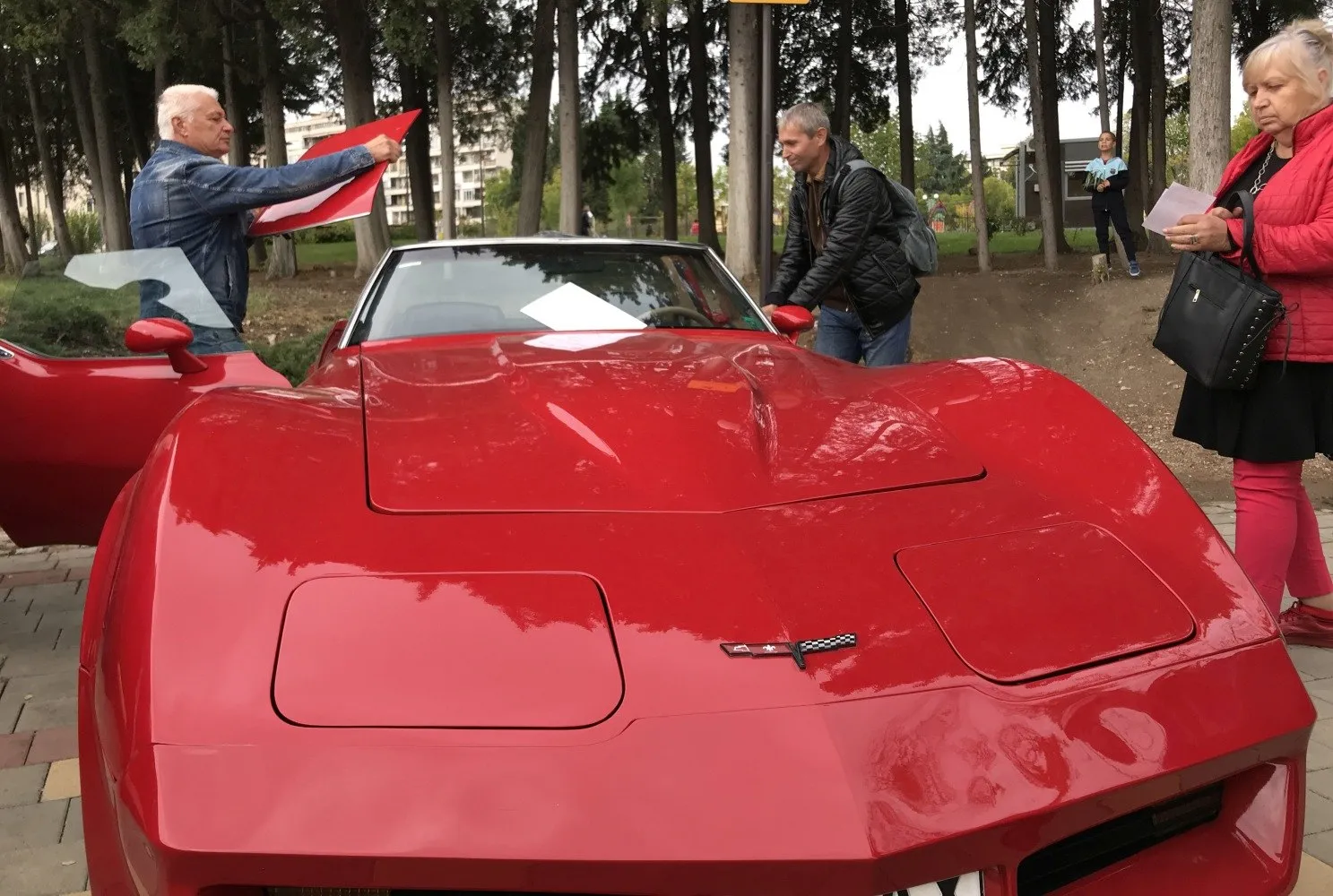 Image for Chevrolet Corvette Coupe (C3, facelift 1978)