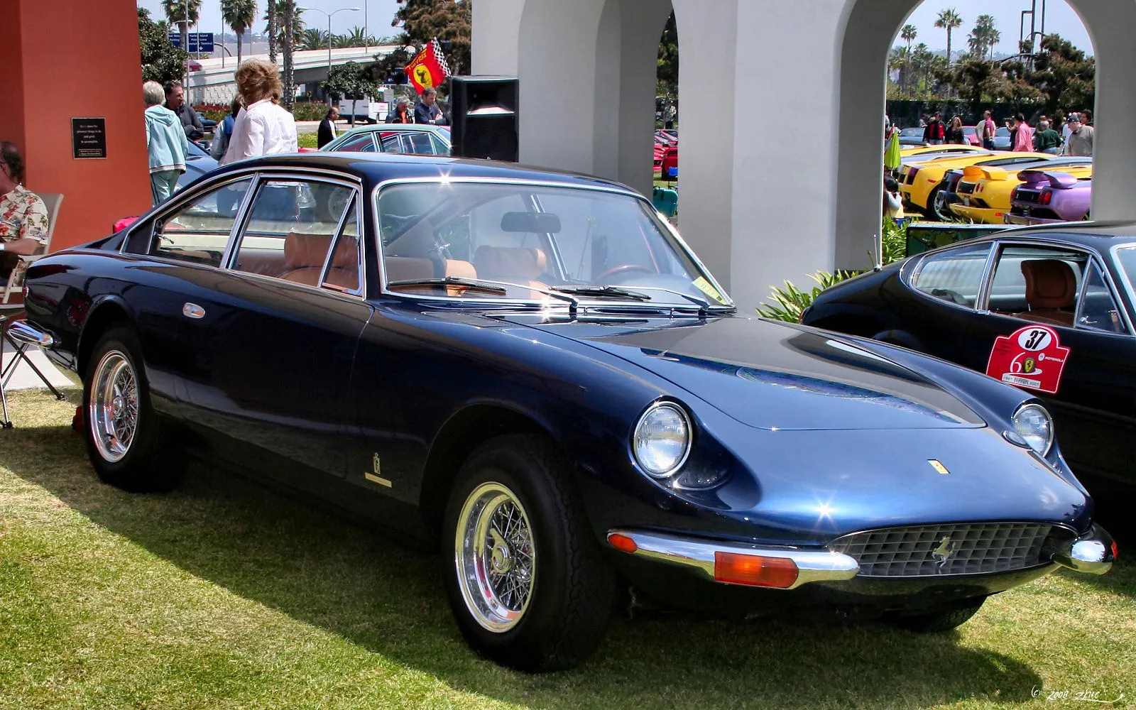Image for Ferrari 365 GT 2+2