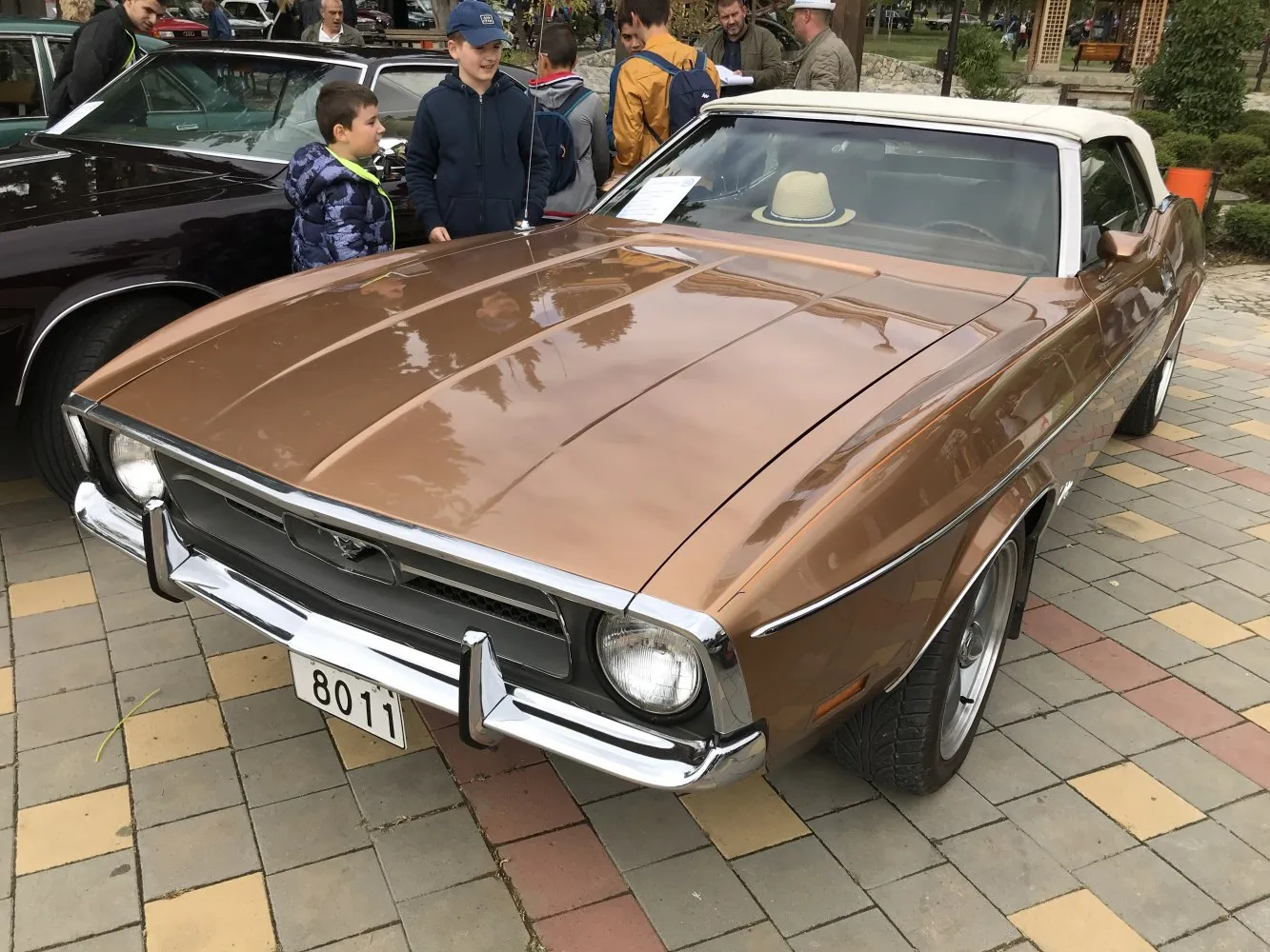 Ford Mustang Convertible I (facelift 1970)