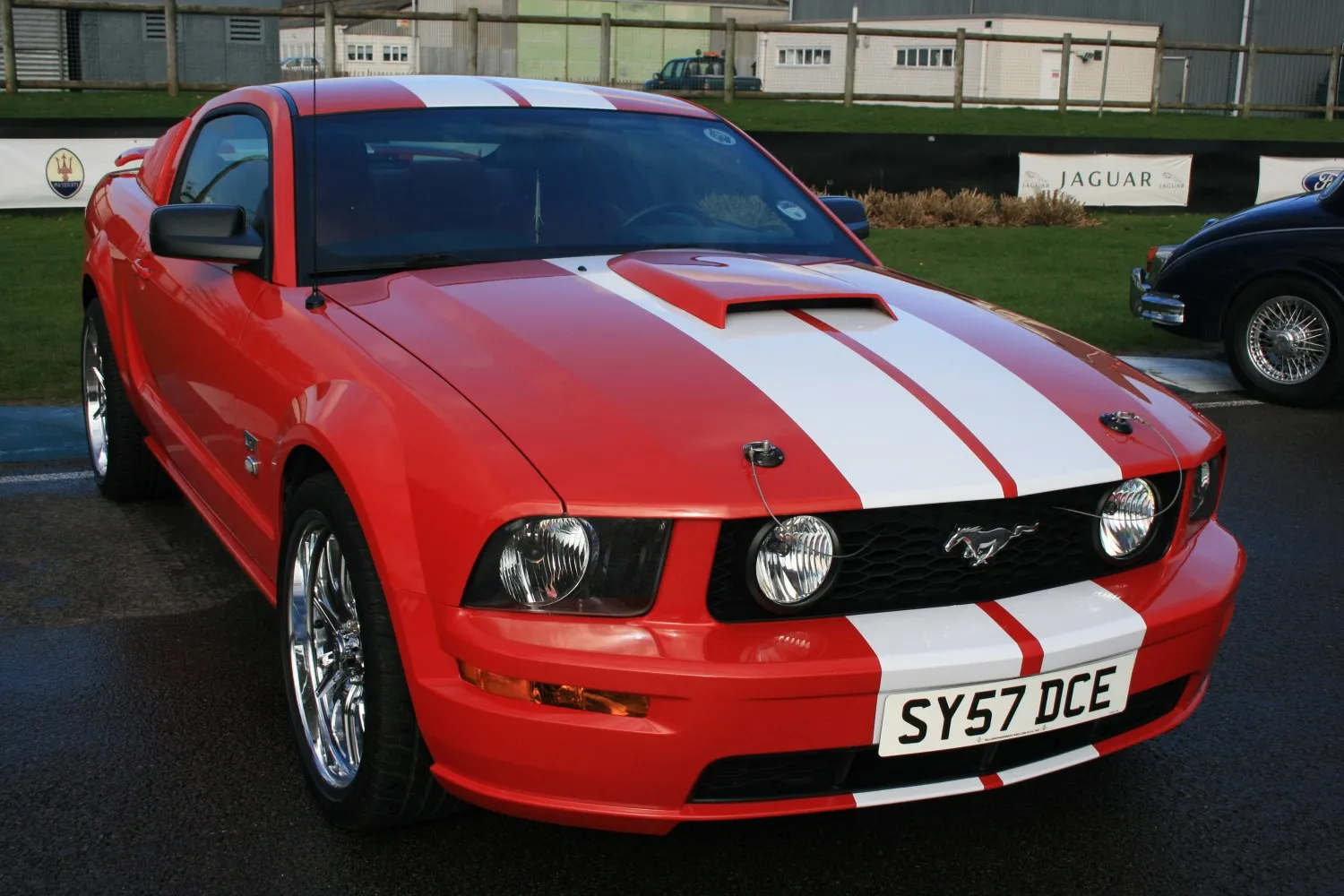 Image for Ford Mustang V
