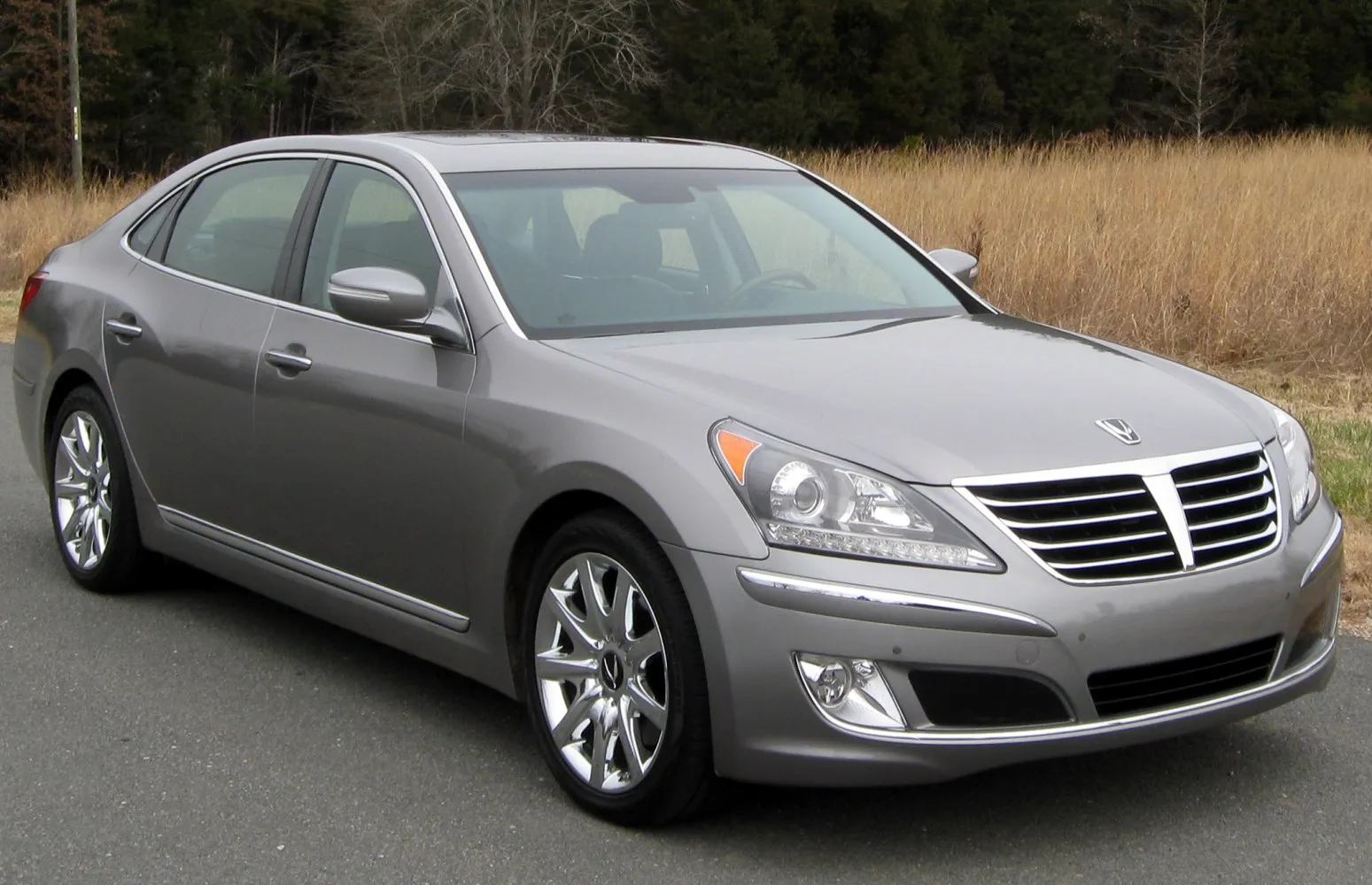 Image for Hyundai Equus VI