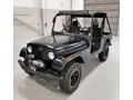 Mahindra Roxor Roxor
