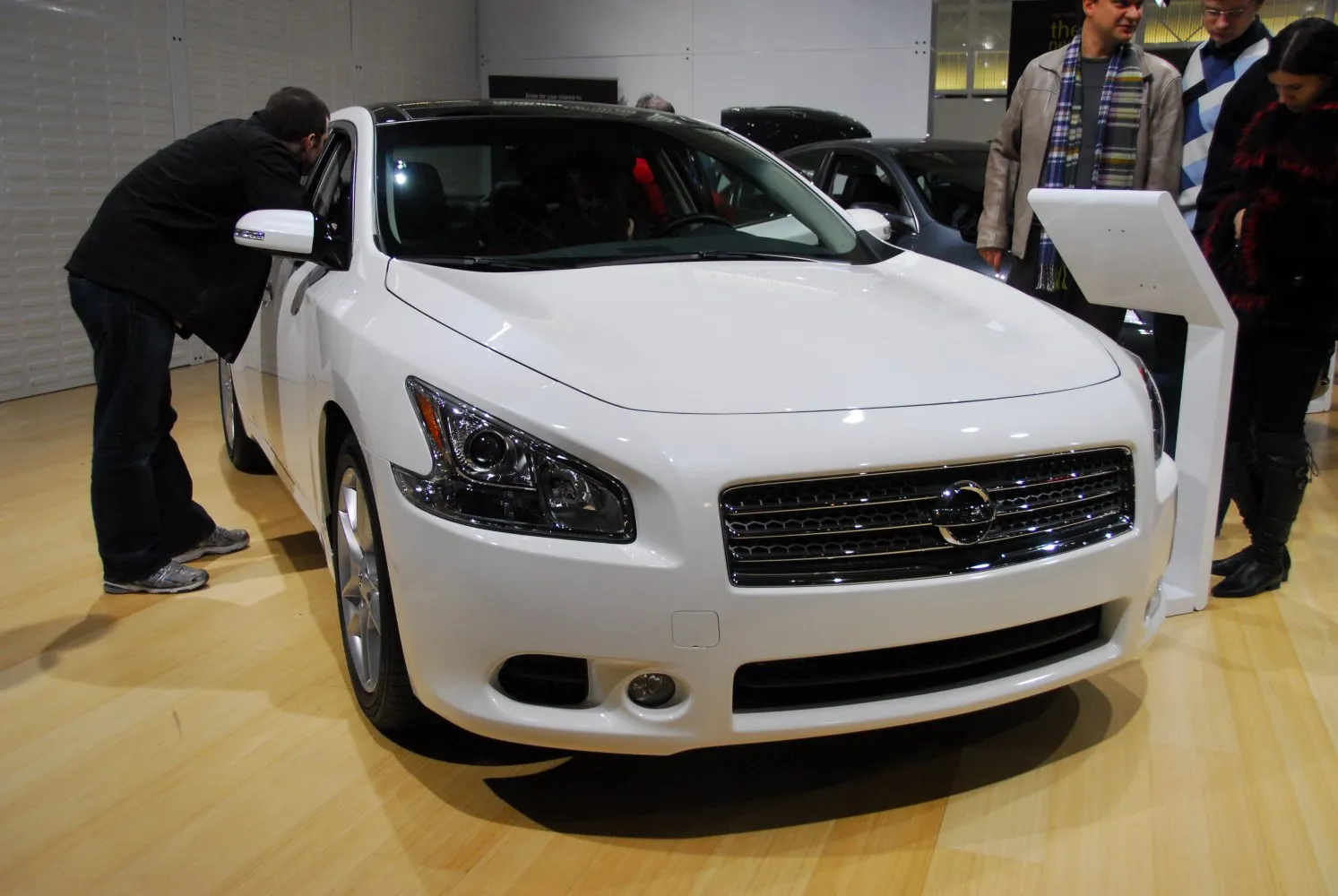 Image for Nissan Maxima VII (A35)