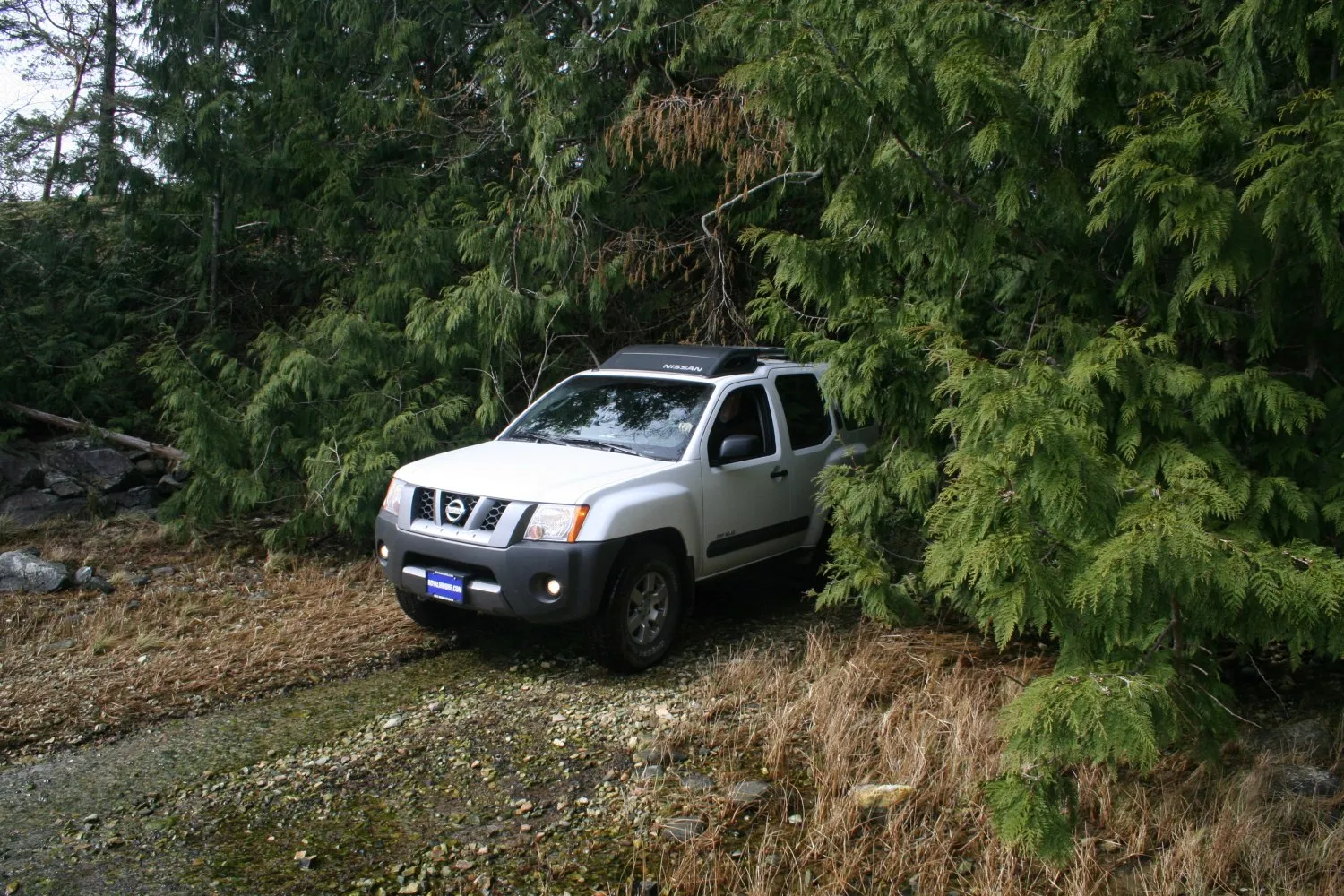 Image for Nissan Xterra II