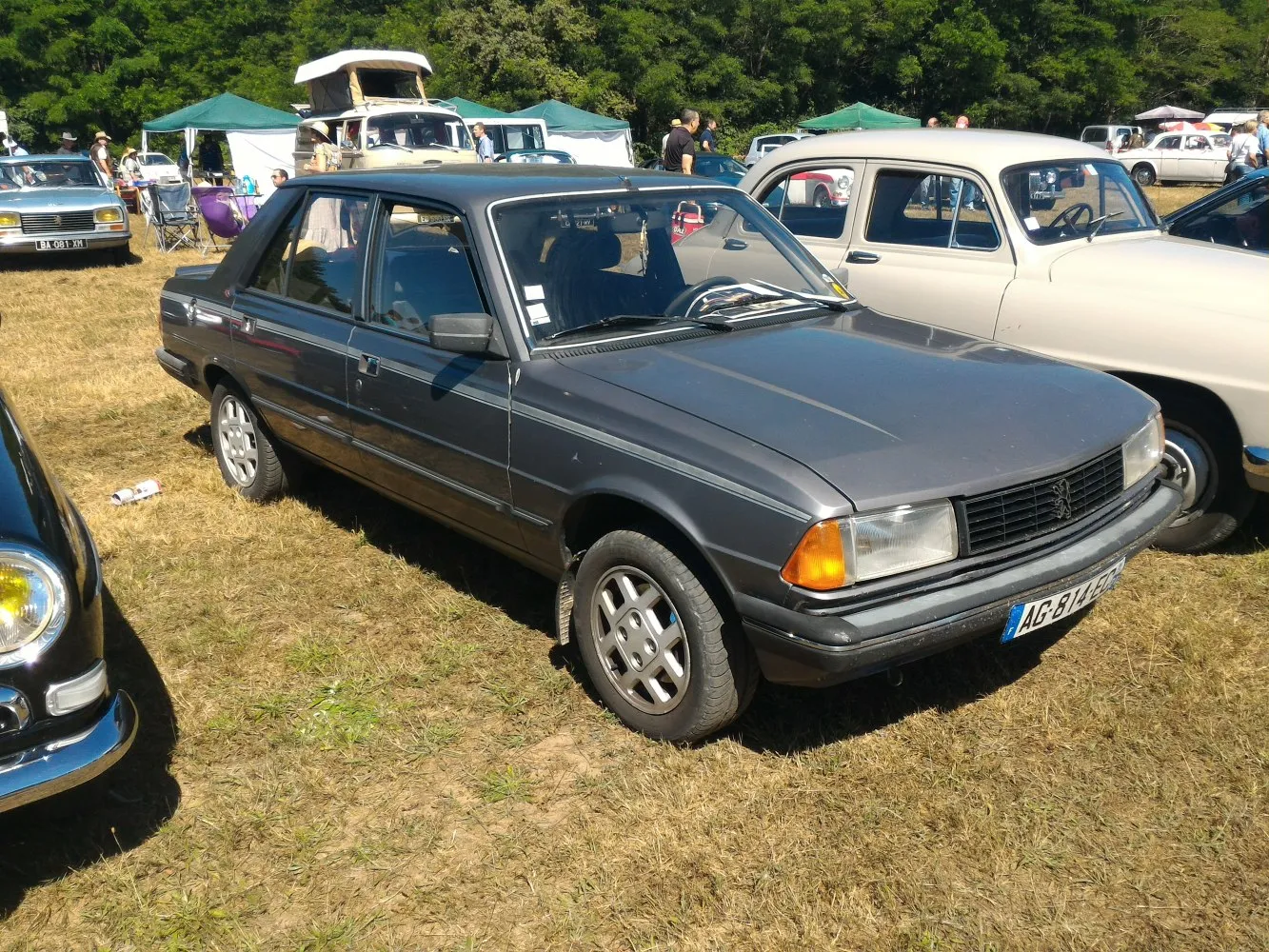 Image for Peugeot 305 II (581M)