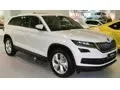 Skoda Kodiaq I